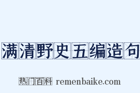 满清野史五编造句是什么意思的图片